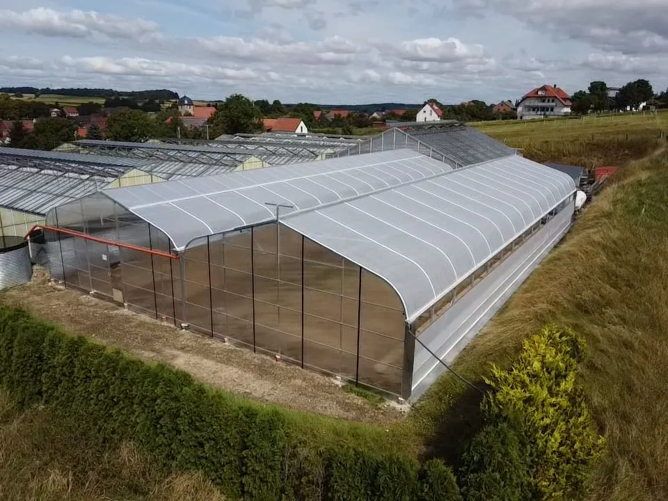 Folien-Gewächshaus 1