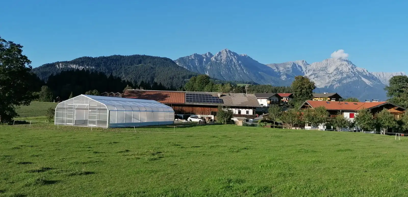 Folien-Gewächshaus 1